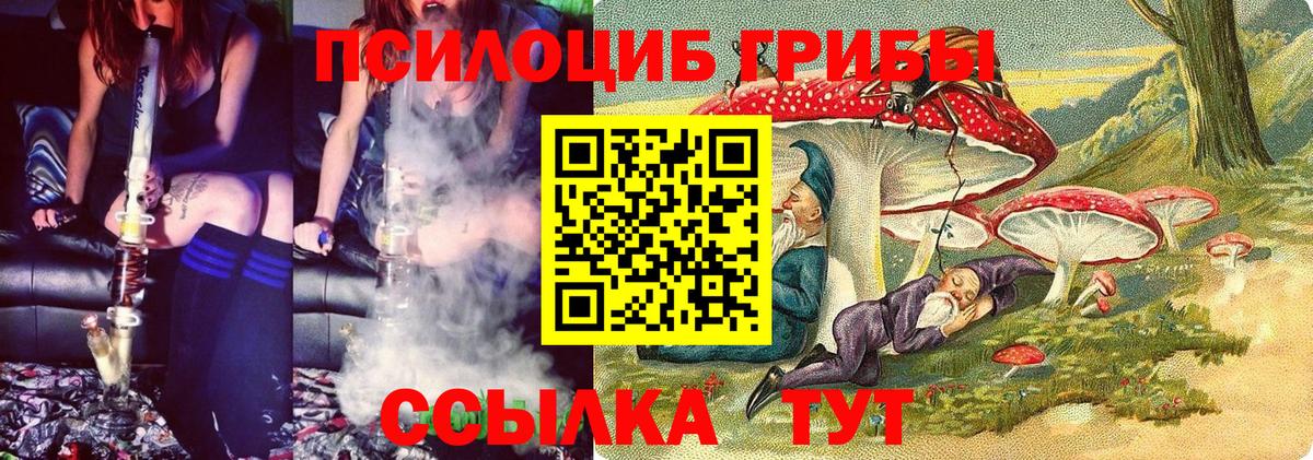 Фрязино  Псилоцибиновые грибы мицелий  Галлюциногенные грибы Psilocybine cubensis  Вход с VPN 